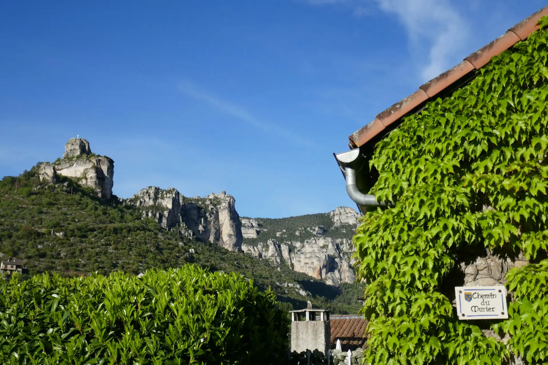 Façade de maison couverte de vigne vierge dans un village rural