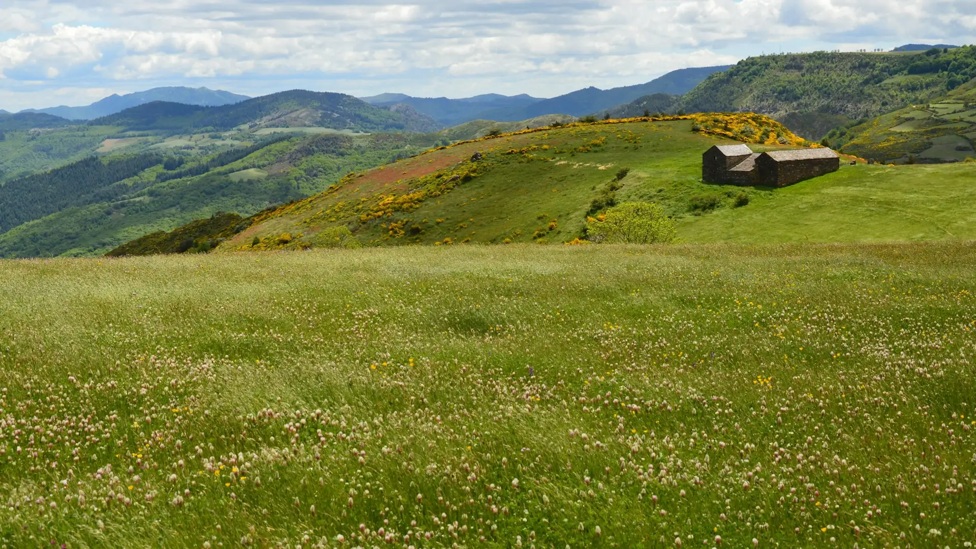 Vallée des Cévennes au lever du jour, collines boisées et hameau en pierre